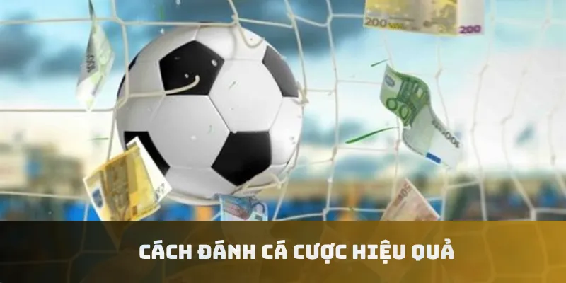 Cách đánh cá cược hiệu quả