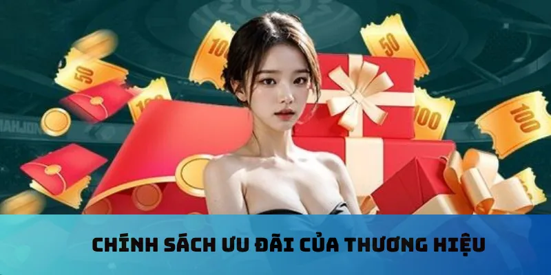 Chính sách ưu đãi của thương hiệu