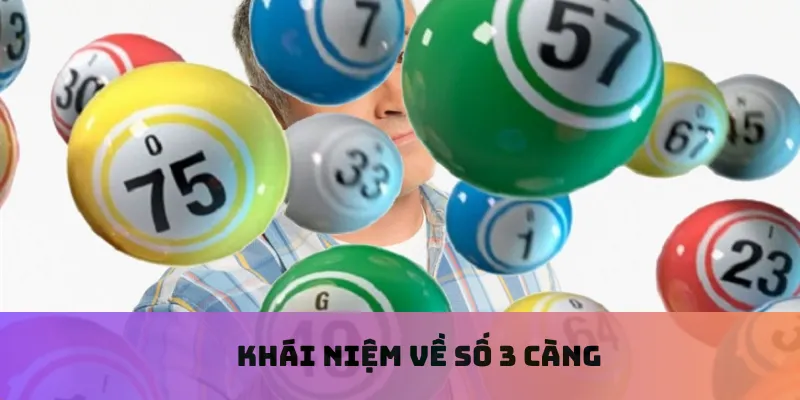 Khái niệm về số 3 càng