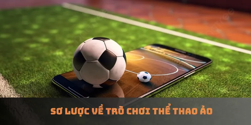 Sơ lược về trò chơi thể thao ảo
