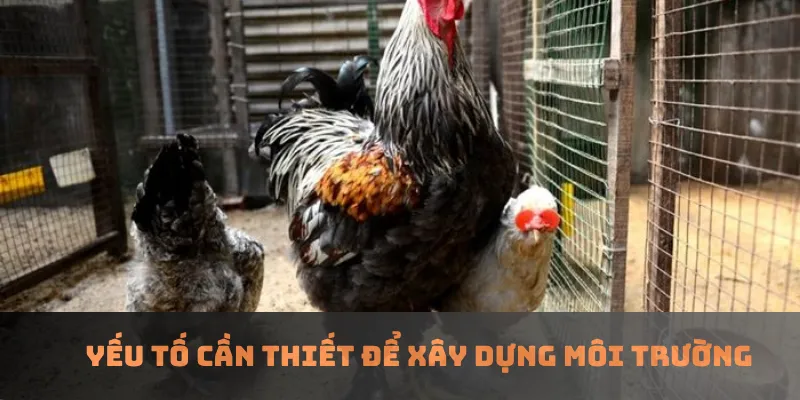 Yếu tố cần thiết để xây dựng môi trường